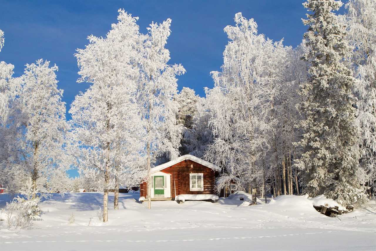 Winter Storm Camping in a Shelter made of Snow - Blizzard Conditions in Atlantic Canada!