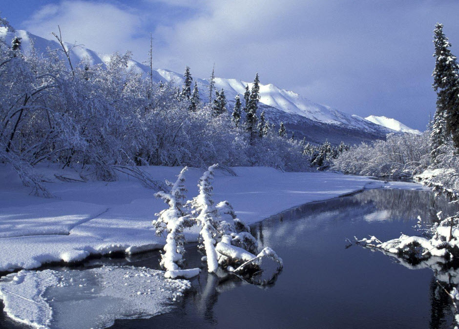 [4K] 11 Hours of Winter Wonderland + Calming Piano Music for Relaxation, Stress Relief [UHD]