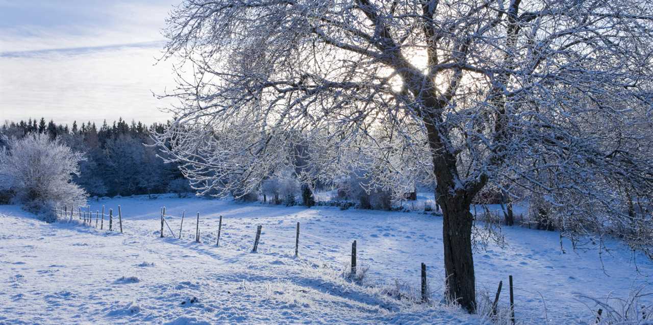 [4K] 11 Hours of Winter Wonderland + Calming Piano Music for Relaxation, Stress Relief [UHD]