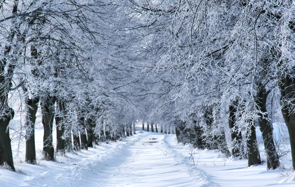 [4K] 11 Hours of Winter Wonderland + Calming Piano Music for Relaxation, Stress Relief [UHD]