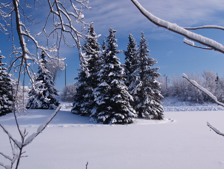 Cozy Winter Wonderland: Sleep To The Sound Of A Blizzard!