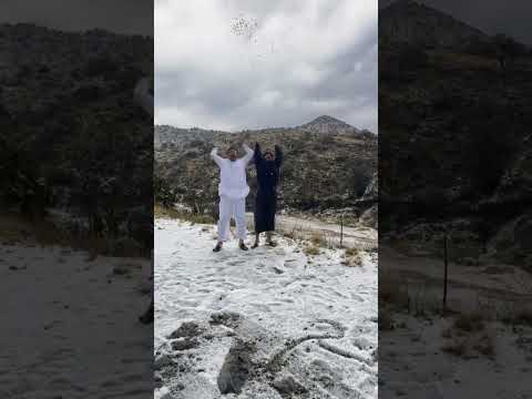 enjoy heavy snowfall #saudiarabia #viral #4k #shorts