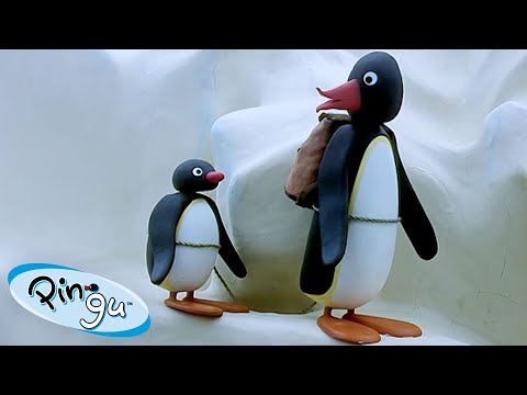 Pingu Goes on Trips 🐧 | Pingu - Official Channel | Cartoons For Kids