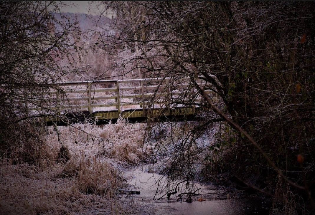 Snowy walk in winter wonderland 4K - Braunlage, Germany, a Beautiful town in the Harz