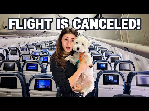 They CANCELED our flight! Traveling with our dog from Portugal to NYC [VLOG] 4K