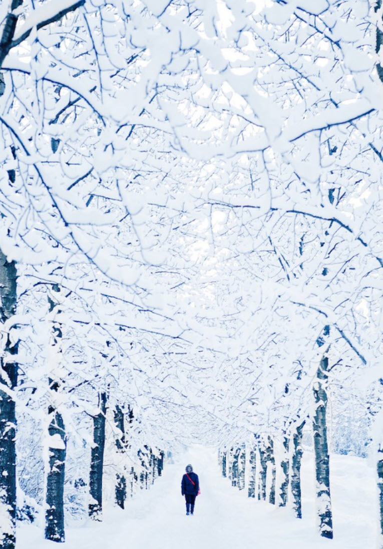 The ambiance felt from the window of the cabin on a cold snowy winter day | Snowstorm Sounds 8 Hours