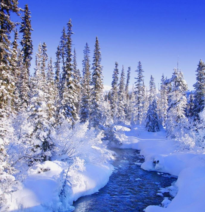 The ambiance felt from the window of the cabin on a cold snowy winter day | Snowstorm Sounds 8 Hours