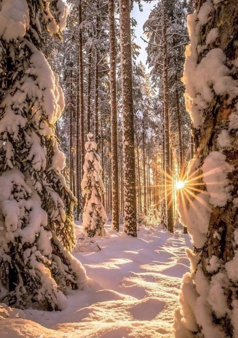 You Need To Travel To These Winter Wonderlands😳Part 2  #travel #nature #explore #adventure #winter