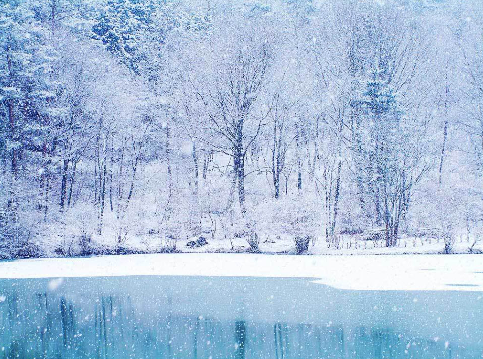 💨 Storm Blizzard Ambience / Relaxing Icy Cold Winter Snow Storm by a Cozy Porch for Sleeping & Relax