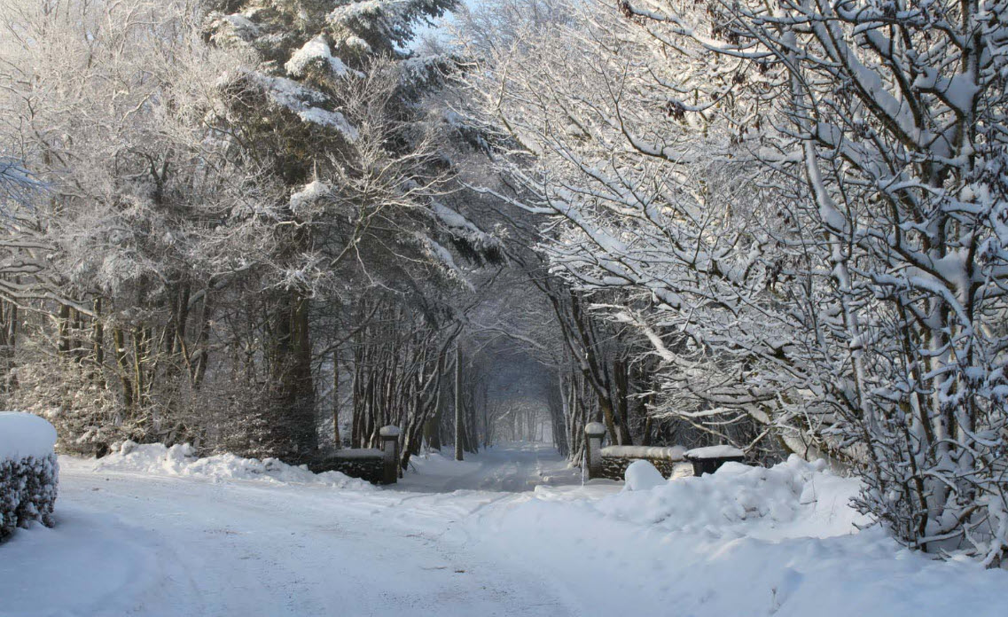 4K HDR // Relaxing night walk in snowy village of Niseko, Hokkaido, Japan