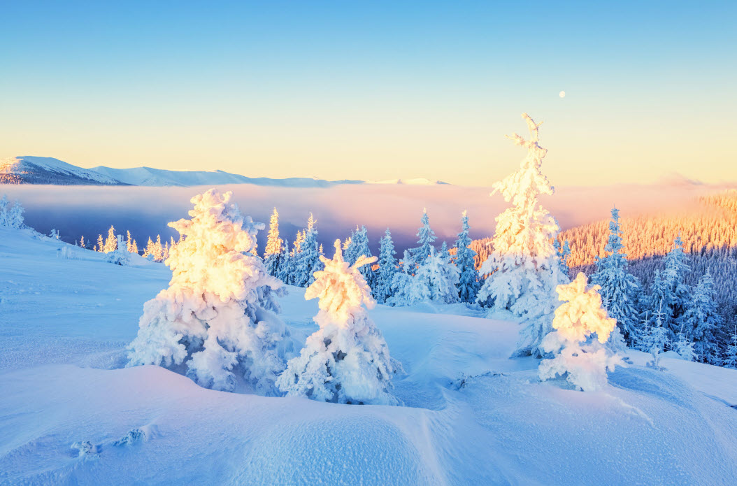 4K HDR // Relaxing night walk in snowy village of Niseko, Hokkaido, Japan