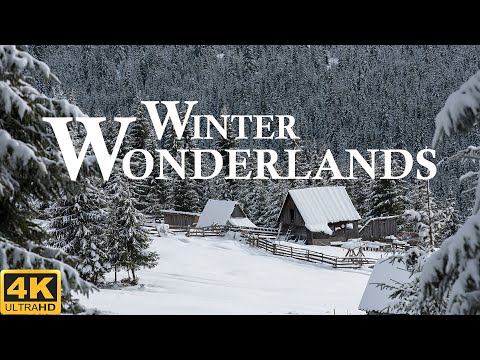 Beautiful Relaxing Music, Peaceful Soothing Instrumental Music, Winter Wonderlands Winter Scenery