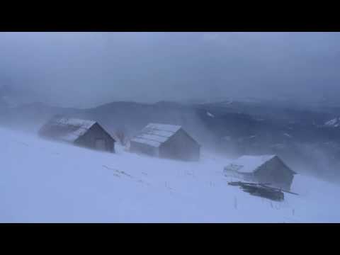 💨 Winter Storm Ambience with Icy Howling Wind Sounds for Sleeping, Relaxing and Studying Background.