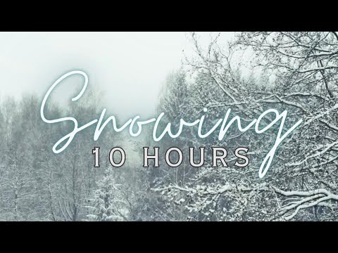 ❄ Snow Storm Over Woodlands | 10 Hours | Relaxing Snowstorm | Beautiful Calming Ambience ❄