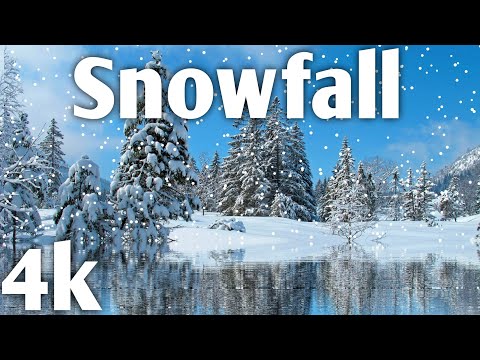 Scenic Film Of Amazing Snowfall With Relaxing Piano Music | 4K- Snowfall Views