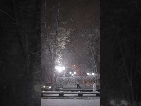 ❄️ Heavy Snowfall - Winter Wonderland in 4K 🌨️❄️ #snow #snowfall #citylights