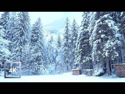 Relaxing Winter Snowfall Walk in Switzerland , Weisse Lutschine River to Stechelberg, Switzerland