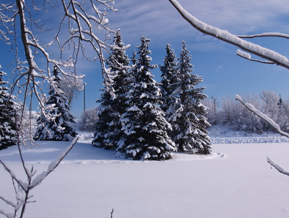 Relaxing Winter Snowfall Walk in Switzerland , Weisse Lutschine River to Stechelberg, Switzerland