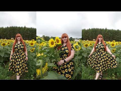 WEEKLY VLOG | SUNFLOWER FIELDS, ASHFORD OUTLET, SPROUT'S SHEIN HAU, HEVER CASTLE & MORE
