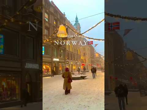 Norway Oslo Snowfall ||Norway Sun At Night #shorts