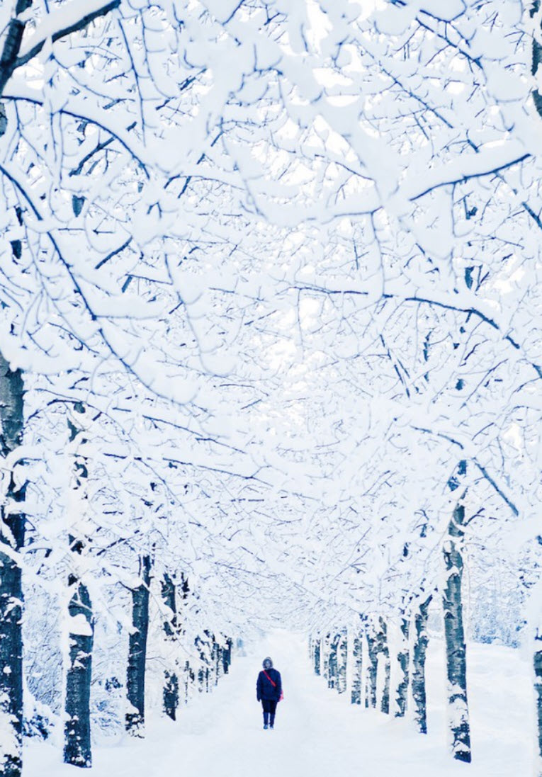 Relaxing snow storm night | Cozy winter wonderland | Turn off the lights & go to sleep right now