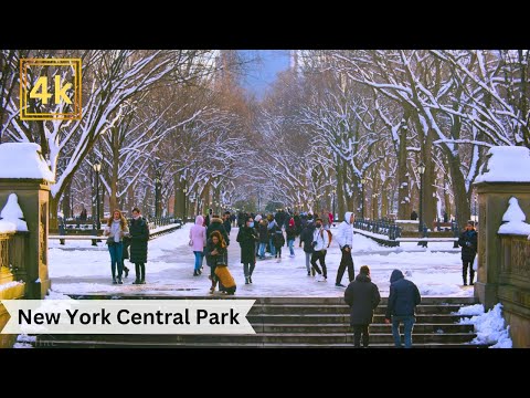 New York City Winter Vibes: Central Park Covered in Snow - Real City Life 4k.