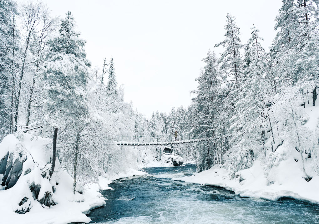 Top 5 Winter Wonderlands  Vacation Destinations