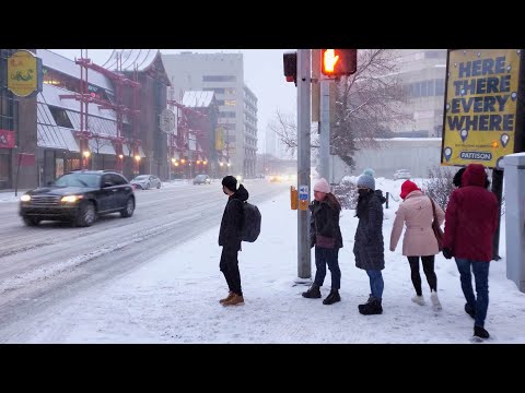 Calgary winter life - Snowfall and Ramsay neighborhood and Snow Driving #calgary #canada #alberta