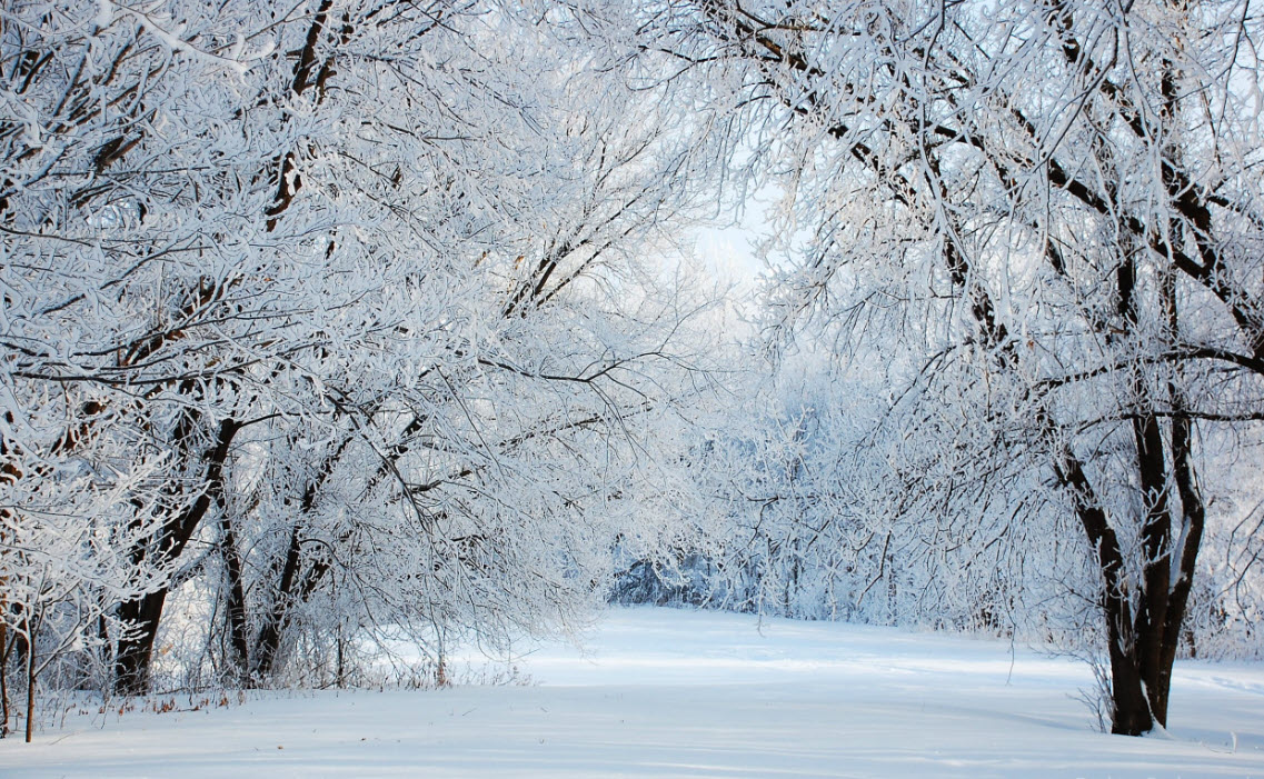 New winter storm brings near blizzard conditions to Sierra