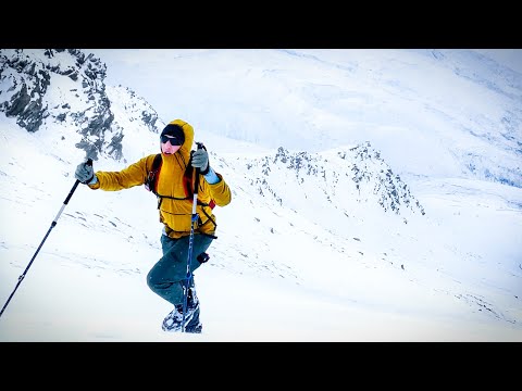 Suddenly Snow in the Yukon - A Quick Meeting with Foresty Forest