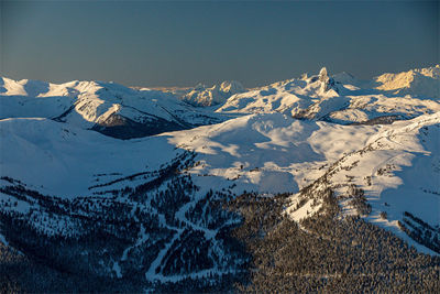 Suddenly Snow in the Yukon - A Quick Meeting with Foresty Forest