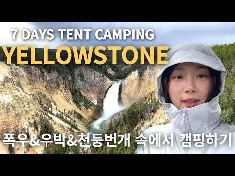 [4K|SUB] Tent Camping at Yellostone National Park | Madison,Canyon,Grant Campground | Alpha Breeze