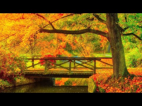 Autumn Scenery, Beautiful Fall Foliage, Peaceful Soothing Music, Autumn  Leaves by Tim Janis