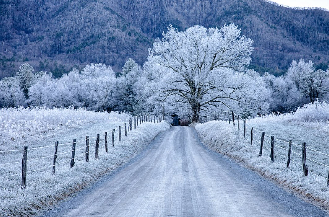 Love in Winter Wonderland with Abiola Bello and Jennifer Niven