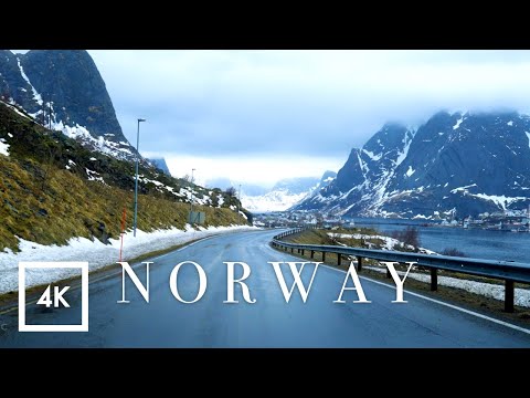 Scenic Snowy Drive in Reine, Lofoten Islands, Norway | Driving Sounds for Sleep and Study ASMR