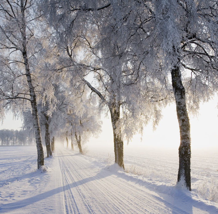 3 Hours of Pure Heavy Snowfall Night Walks in Finland - Slow TV 4K