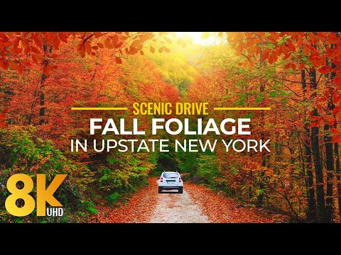 Fall Foliage in Upstate New York - Colorful Autumn Vibes in 8K Scenic Drive Video