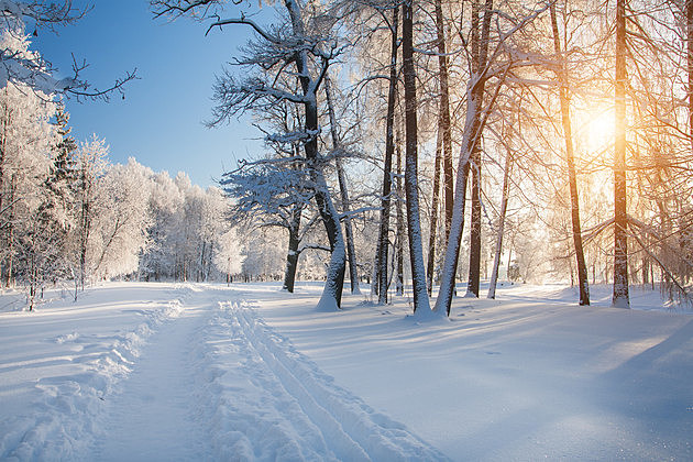 Winter's Snowy Delight - Winter Song - Song for Children - Nursery Rhymes