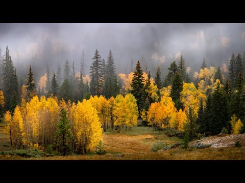 Beautiful Relaxing Music, Peaceful Soothing Piano Music, Mountain Fall Foliage by Tim Janis