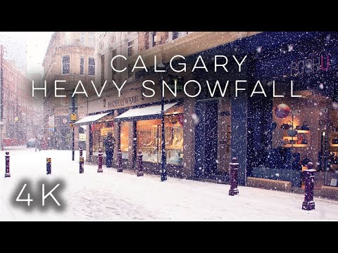 【4K】Calgary Heavy Snow Fall 🥶| Canada Winter Snow Walk | #snowstorm #snowfall #calgary #alberta