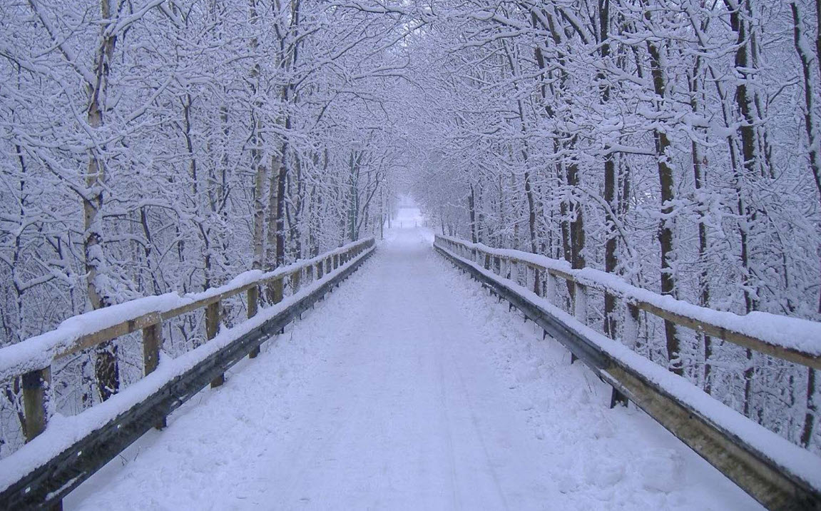 Snow Falling Day in Cozy Winter Cabin Ambience with Fireplace Sound and Snowfall view