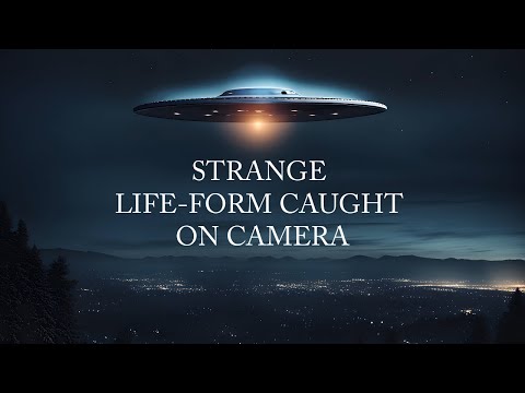 Strange Life-Form Caught on Camera | NEW UAP FOOTAGE