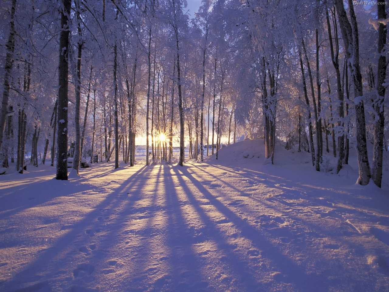 Happy new year 🥳#happynewyear #winter #edit #vacation #snow