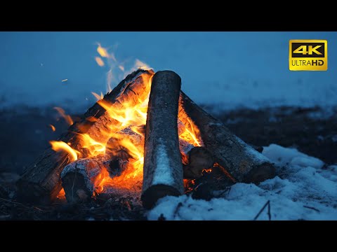 🔥 A Crackling Campfire During a Windy Winter Night (10 HOURS) 50FPS 🔥 Cozy Fireplace 4K for Sleeping