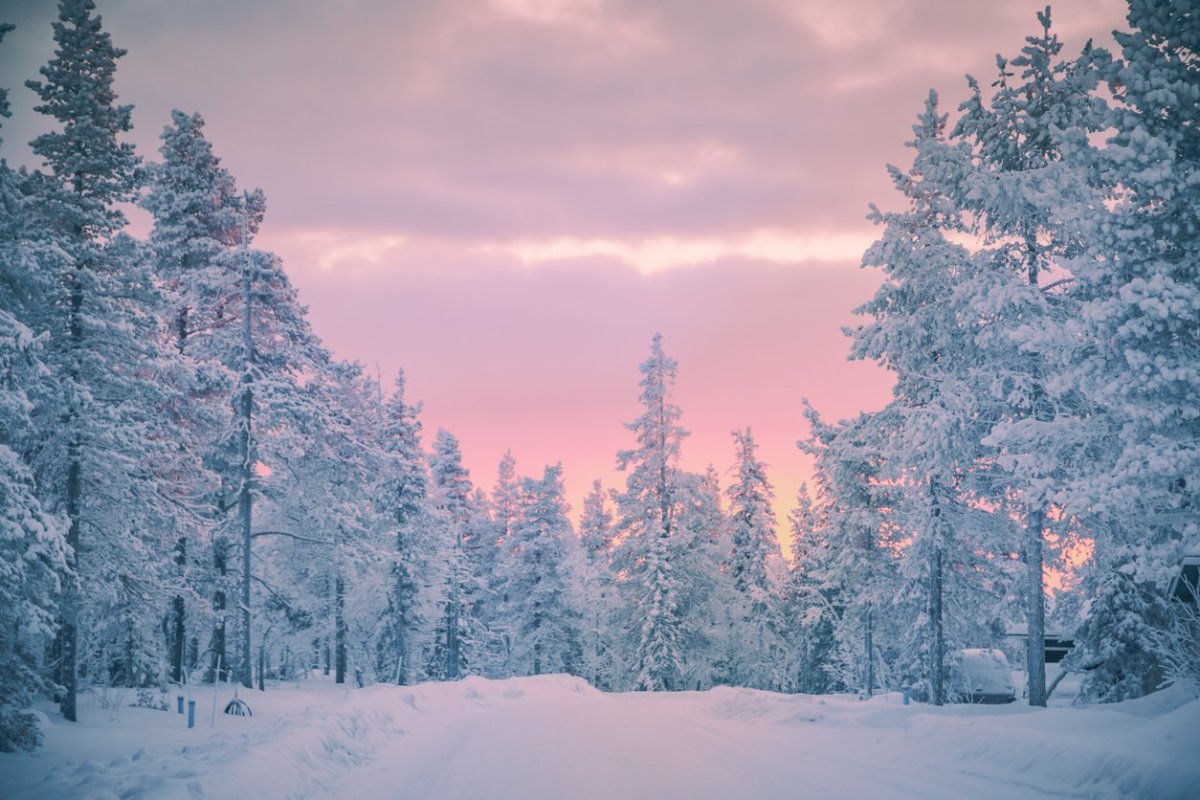 Enchanting Winter Wonderland: Skiing in Finland's Snowy Peaks 🏂❄️