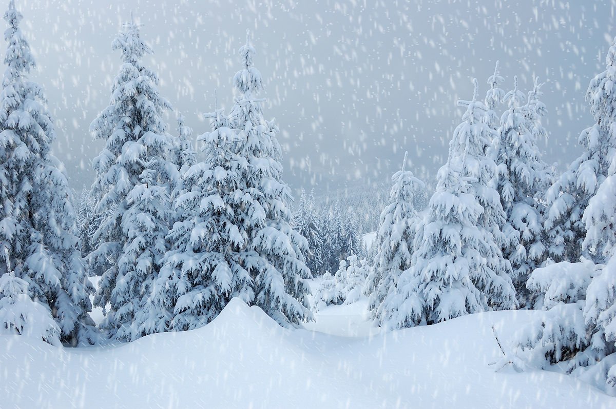 Perfect  East Coast Snow Day at Sugar Mountain, North Carolina